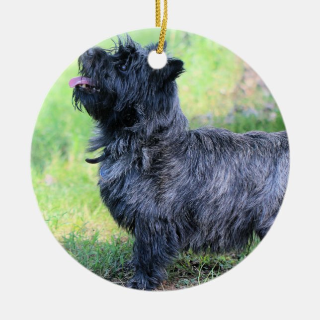 Ornamento De Cerâmica Mostra-te (Frente)