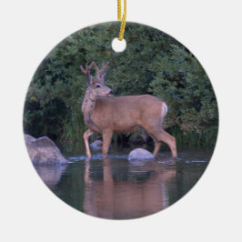 Ornamento De Cerâmica "Mule Deer Fazer e madrugada atravessando o rio"