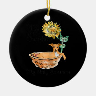 Ornamento De Cerâmica Mulheres Você É Meu Greyhound Italiano Solitário