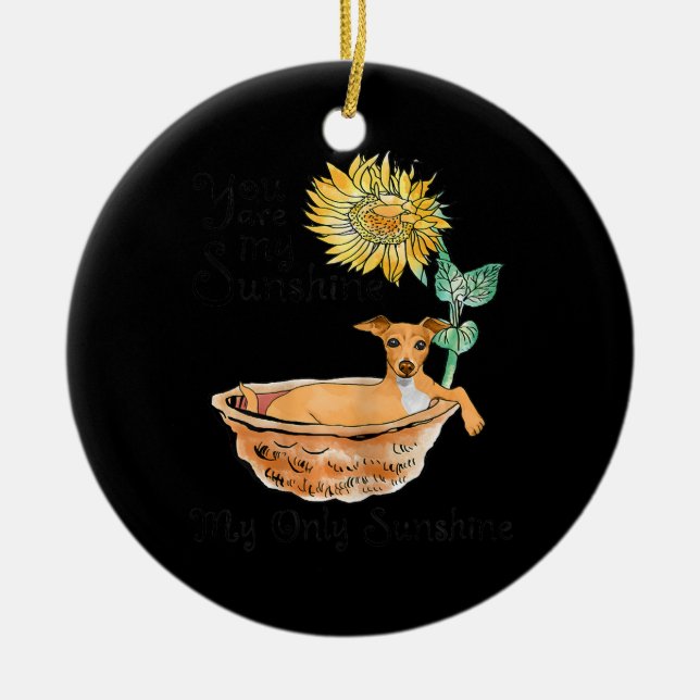 Ornamento De Cerâmica Mulheres Você É Meu Greyhound Italiano Solitário (Frente)