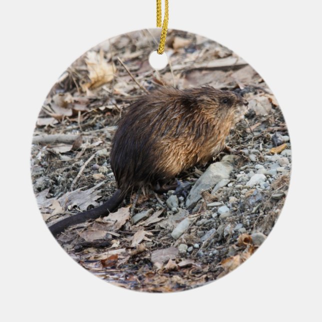Ornamento De Cerâmica Muskrat (Frente)