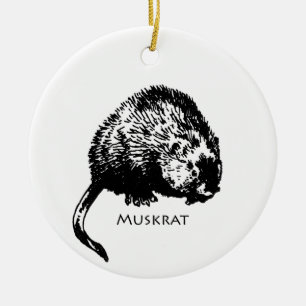 Ornamento De Cerâmica Muskrat (ilustração)