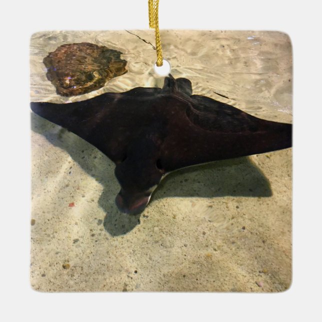Ornamento De Cerâmica Mystical Stingray (Frente)