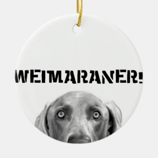 Ornamento De Cerâmica Nação de Weimaraner: Weimaraner em uma caixa!