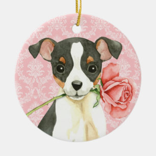 Ornamento De Cerâmica Namorados Toy Fox Terrier