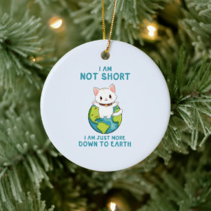 Ornamento De Cerâmica Não Curto, só para baixo para a Terra - Humor Gato