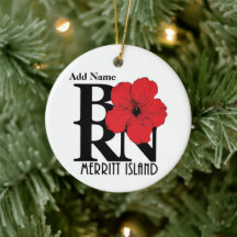 NASCER Merritt Island Red Hibiscus