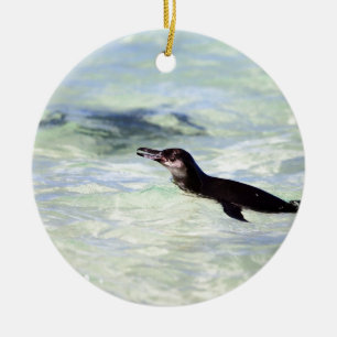 Ornamento De Cerâmica Natação bonito do pinguim de Galápagos