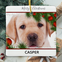 Natal amarelo - Cachorro Cachorro Cachorro Pupido 