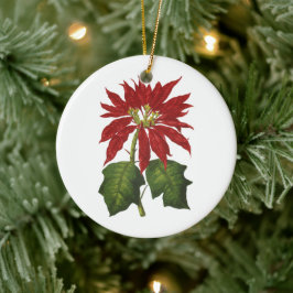 Ornamento De Cerâmica Natal Antigo, Planta de Inverno Poinsettia Vermelh