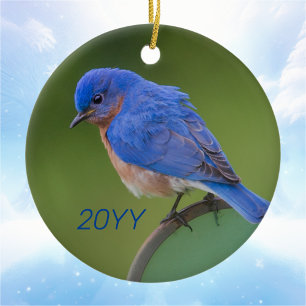 Ornamento De Cerâmica Natal anual do Bluebird