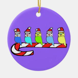 Ornamento De Cerâmica Natal Budgies empoleirado no bastão de doces