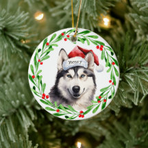 Natal Cachorro Siberian Husky Santa Hat Holiday