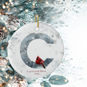 Ornamento De Cerâmica Natal clássico Monograma da cena de inverno com ne