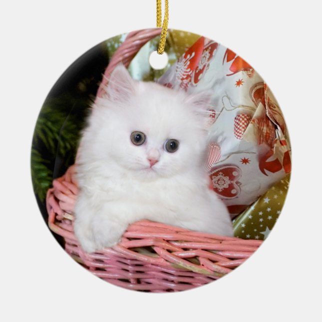 Ornamento De Cerâmica Natal de Kitten Persa Branco (Frente)