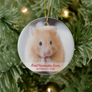 Ornamento De Cerâmica Natal de Pet de Hamster Personalizado