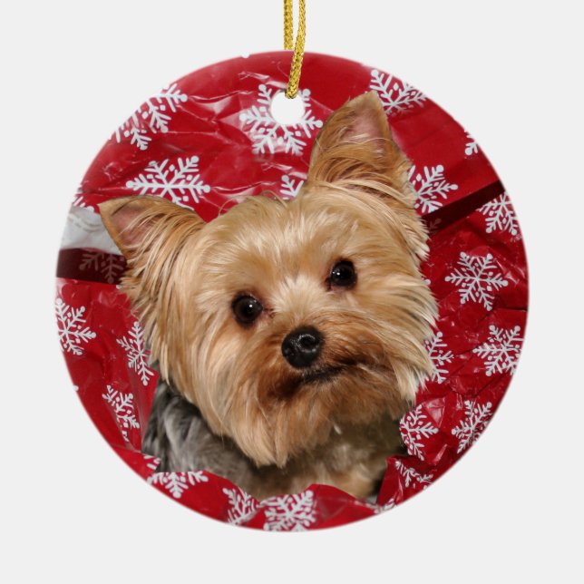 Ornamento De Cerâmica Natal de Yorkie (Frente)