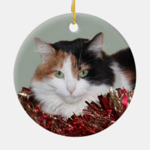 Ornamento De Cerâmica Natal do gatinho da chita