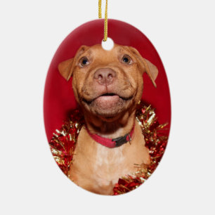 Ornamento De Cerâmica Natal feliz do filhote de cachorro do pitbull