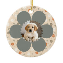 Natal Florido Fofo da Casa de Campo