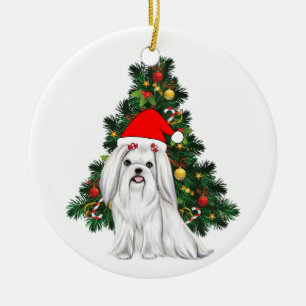 Ornamento De Cerâmica Natal Maltês, Xmas Maltês Cachorro com chapéu de P