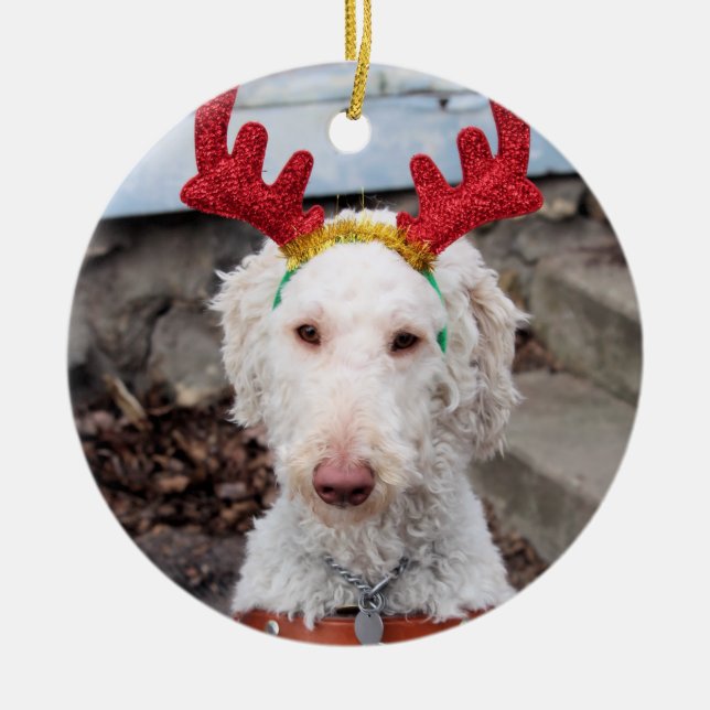 Ornamento De Cerâmica Natal Ollie (Frente)