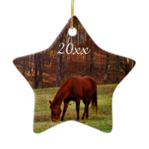 Natal Personalizado com Foto de Pet ou Cavalo Ano