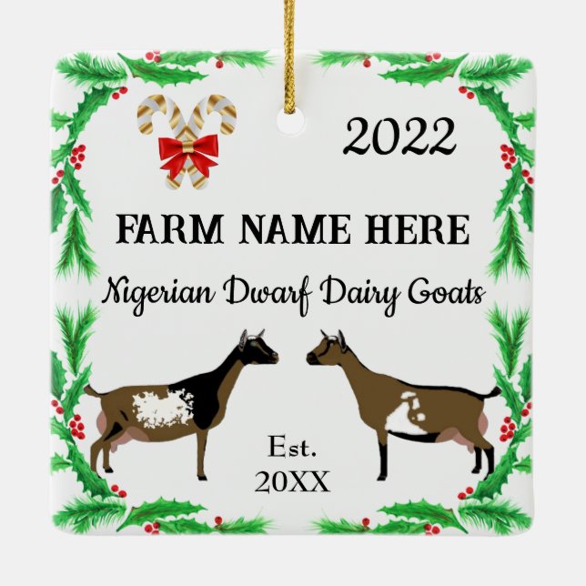 Ornamento De Cerâmica Natal personalizado de Dwarf Dairy Goat nigeriano (Verso)