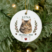 Natal Personalizado do Gato Maine Coon no Natal