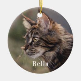 Ornamento De Cerâmica Natal personalizado para gatos de estimação