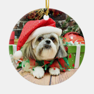 Ornamento De Cerâmica Natal - Shih Tzu - aparelho