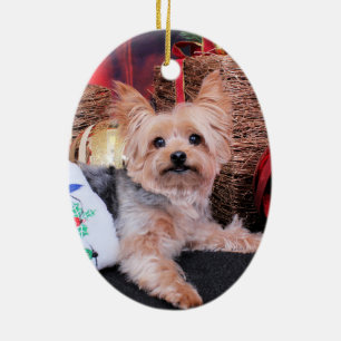 Ornamento De Cerâmica Natal - yorkshire terrier - Vinnie