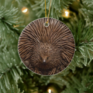 Ornamento De Cerâmica Nature's Quill: A Echidna Australiana em Madeira,
