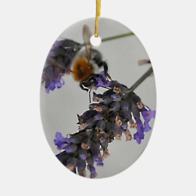 Ornamento De Cerâmica Natures WonMaravilha Workers (Frente)