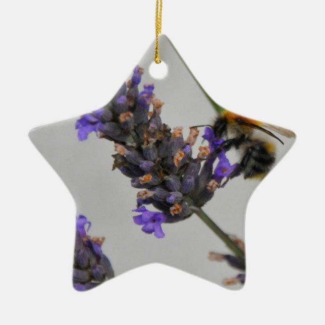 Ornamento De Cerâmica Natures WonMaravilha Workers (Frente)