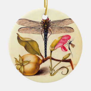 Ornamento De Cerâmica Natureza Botânica Dragonfly