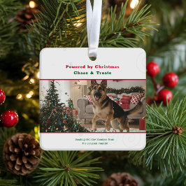 Ornamento De Cerâmica Naughty Funny Dog Pet Photo Christmas Holiday