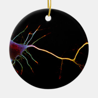 Ornamento De Cerâmica Neuroscience, neuron , science
