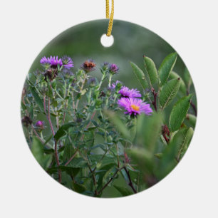 Ornamento De Cerâmica New England Aster Flower Ornament
