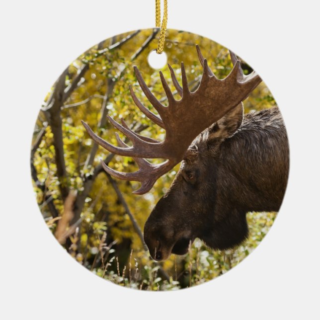 Ornamento De Cerâmica Noble Bull Moose (Frente)