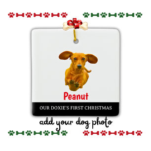 Ornamento De Cerâmica Nome da Foto de Natal do Nosso Doxie