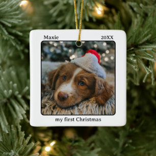 Ornamento De Cerâmica Nome da Minha Primeira Foto de Natal do Pet