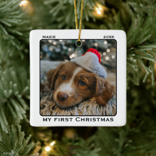 Ornamento De Cerâmica Nome da Minha Primeira Foto de Natal do Pet