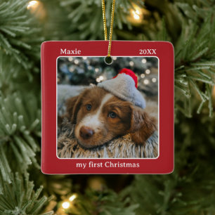 Ornamento De Cerâmica Nome da Minha Primeira Foto de Natal do Pet