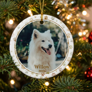 Ornamento De Cerâmica Nome de Foto de Animal de Estimação com Pintura de