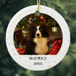 Ornamento De Cerâmica Nome de Foto de Pet Personalizado Ano<br><div class="desc">Adicione a foto do seu cão ou gato e o nome a este ornamento cerâmico da Árvore de Natal por uma manutenção que durará toda a vida! Você pode personalizá-lo com um nome e um ano também.</div>