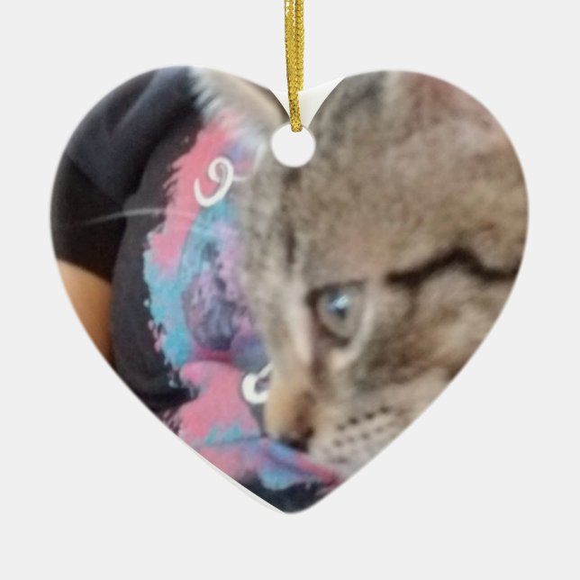 Ornamento De Cerâmica Nome do Pet Personalizado Quem Resgatou Quem  (Frente)