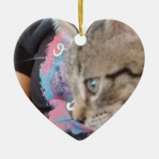 Ornamento De Cerâmica Nome do Pet Quem Resgatou Quem Personalizado