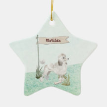 Nome Personalizado Cão Pet Pet White Poodle