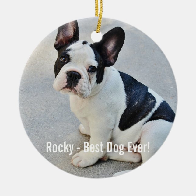 Ornamento De Cerâmica Nome personalizado da foto do buldogue e do (Frente)